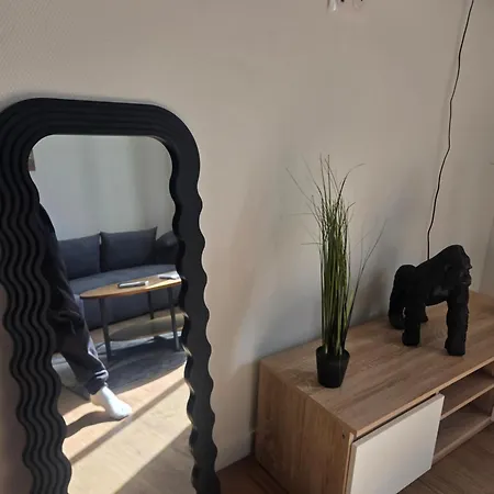 Du Lot Apartment *